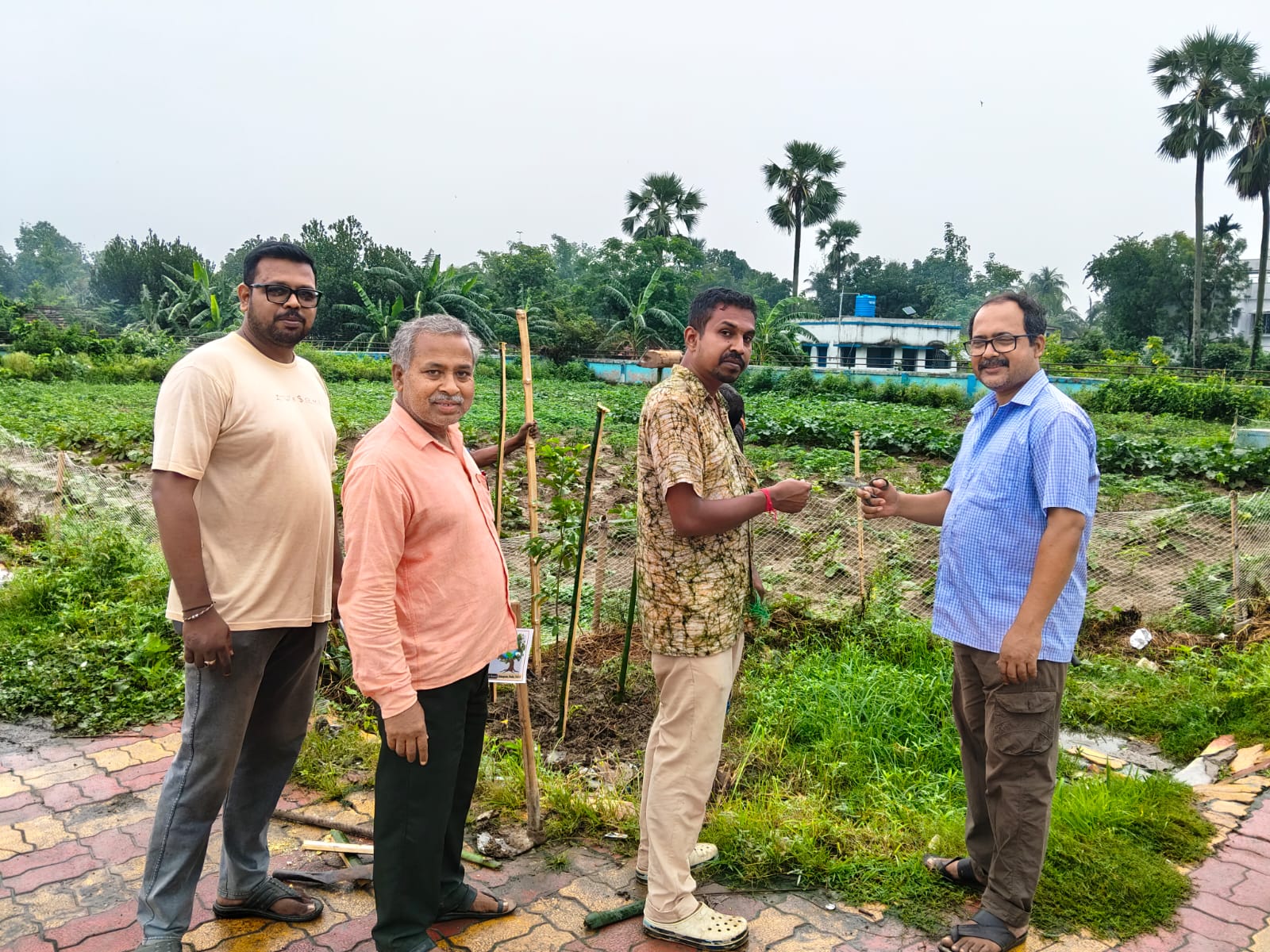 Environment Program